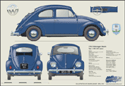 VW Beetle 1953-55